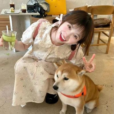 饥饿的狮子